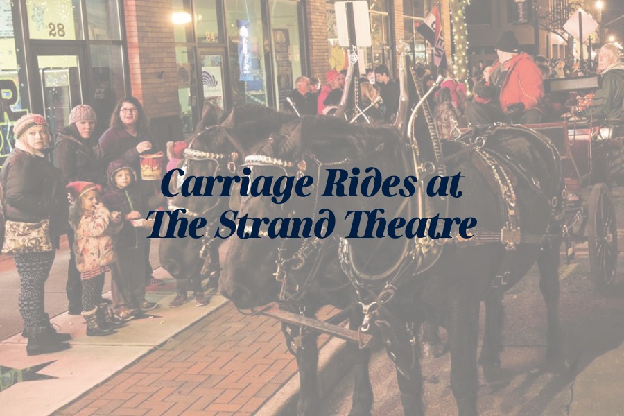 Carriage Rides in Downtown Delaware