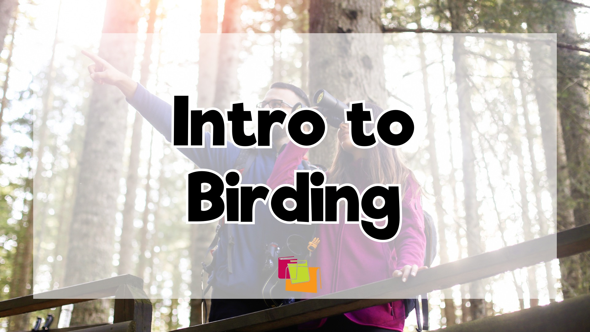 Intro to Birding