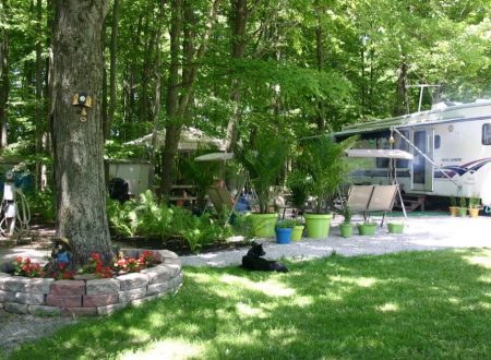 tree-haven-campground